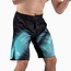 Hayabusa Apex Nova Full-Length Fightshort Heren – Aurora Teal