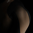 Hayabusa Pro Ranked Rashguard Heren Korte Mouw – Bruin