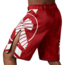 Hayabusa Icon MMA-short – Rood/wit