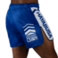 Hayabusa Icon Mid-Thigh MMA-short – Blauw/wit