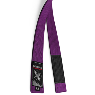 Hayabusa Hayabusa Jiu-Jitsu Band – Paars