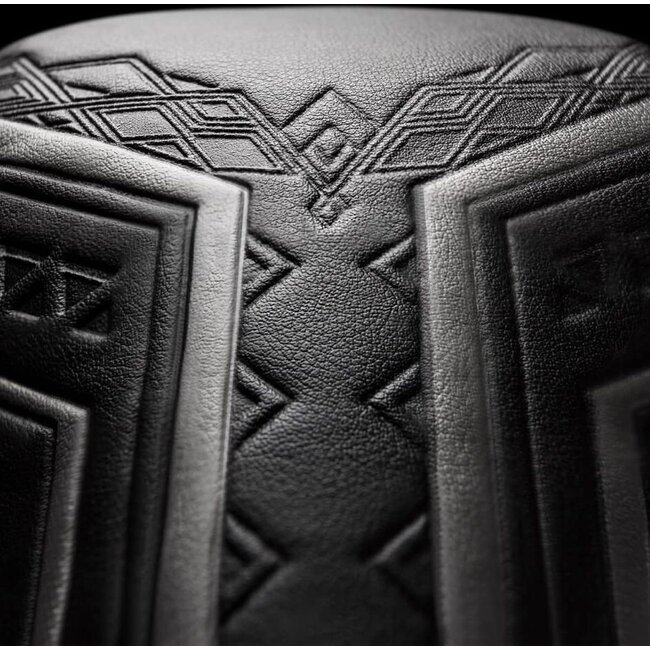 Hayabusa Hayabusa Marvel Black Panther Bokshandschoenen