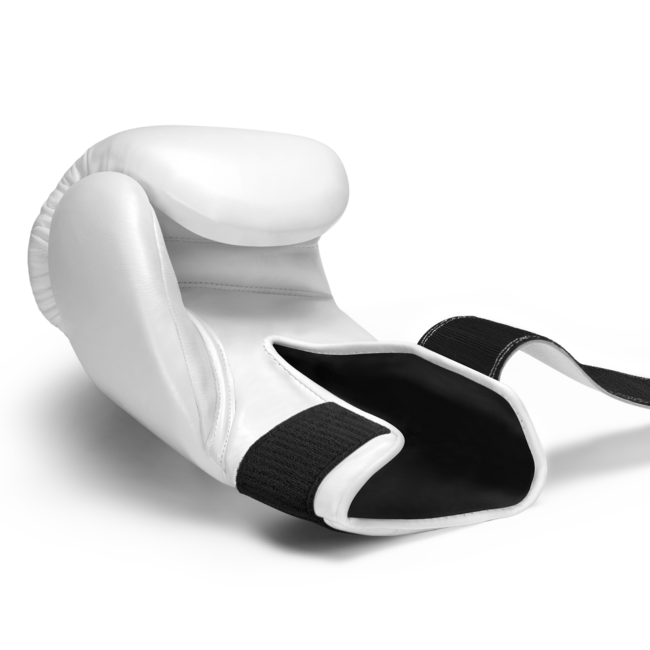 Hayabusa Pro bokshandschoenen - Wit