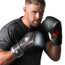 Hayabusa Marvel Thor bokshandschoenen - Bruin/Zilver