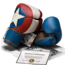 Hayabusa Marvel Captain America bokshandschoenen - Rood/Wit/Blauw