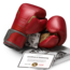 Hayabusa Marvel Iron Man bokshandschoenen - Rood/Goud