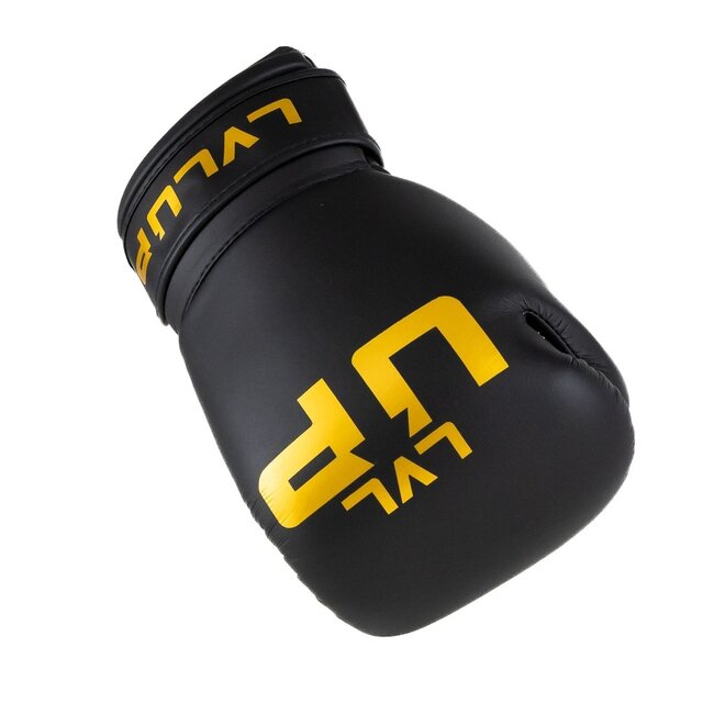 LVL-UP BG 4 Bokshandschoenen – Zwart – 12, 14 en 16 oz
