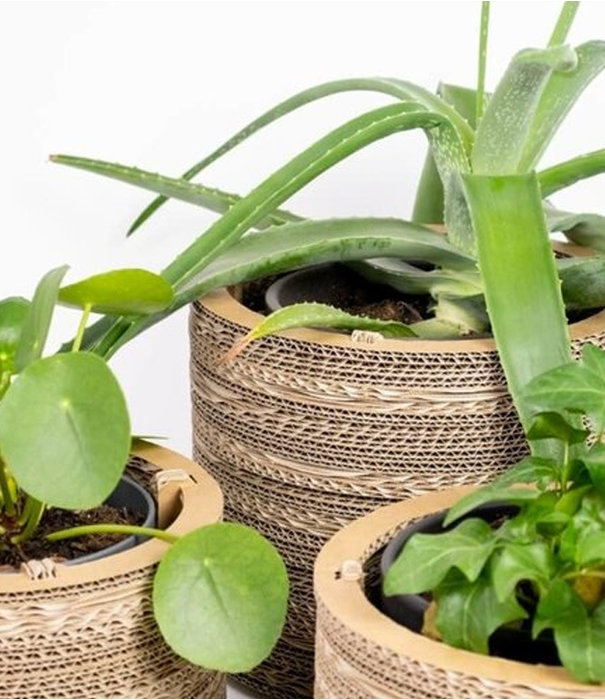 Kartent Cardboard Flower Pot and Plant Pot - Rose