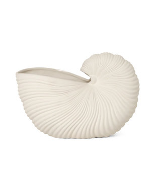 Shell Pot