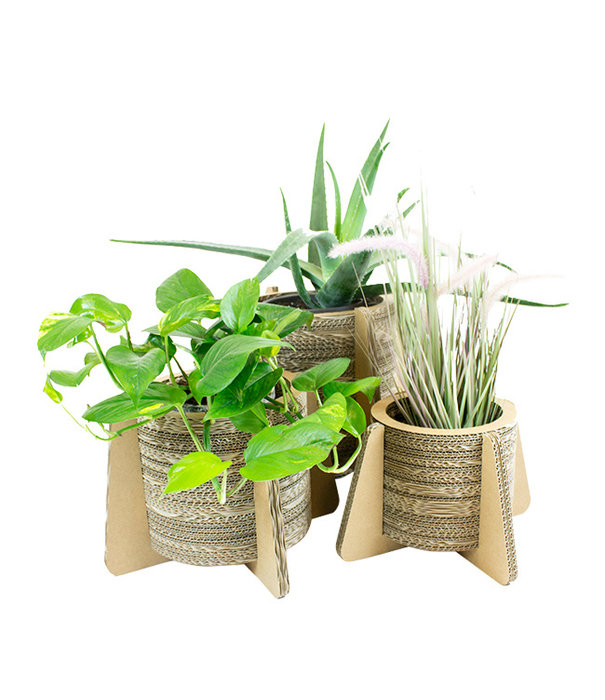 Kartent Cardboard Flower and Plant Pot with Feet - Daisy