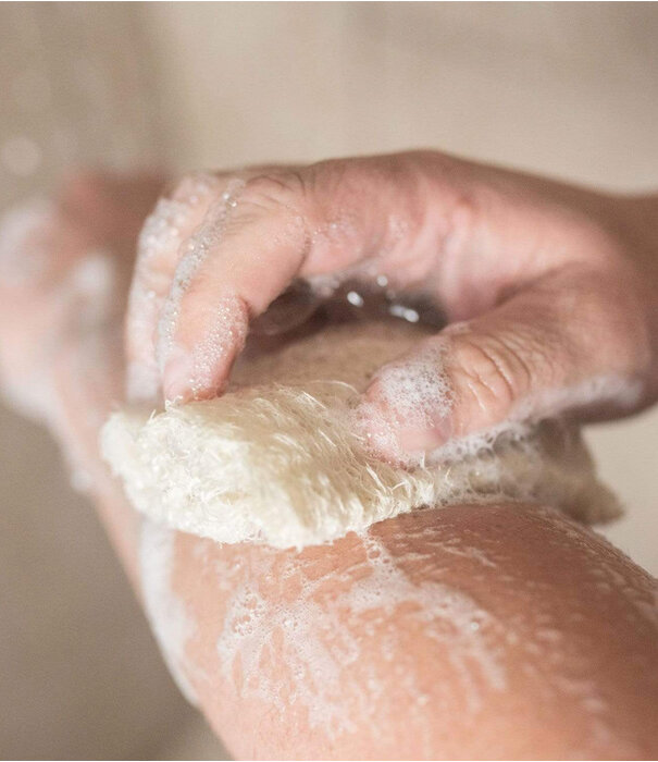 ZWS Loofah Scrubber - Zero Waste Loofah All Natural Plastic Free Compostable