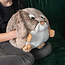 Noxxiez Noxxiez cuddly handwarmer pillow Bunny
