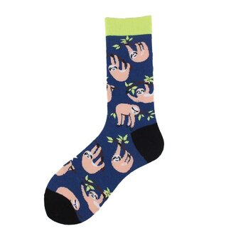 Noxxiez Cozy Noxxiez Soxxiez Sloth Blue