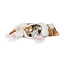 Noxxiez Noxxiez Plush Family Mama Cat With 3 Babies