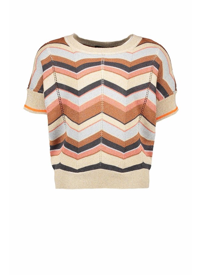 F202-5395 Like Flo Zigzag Top - Multi Colour