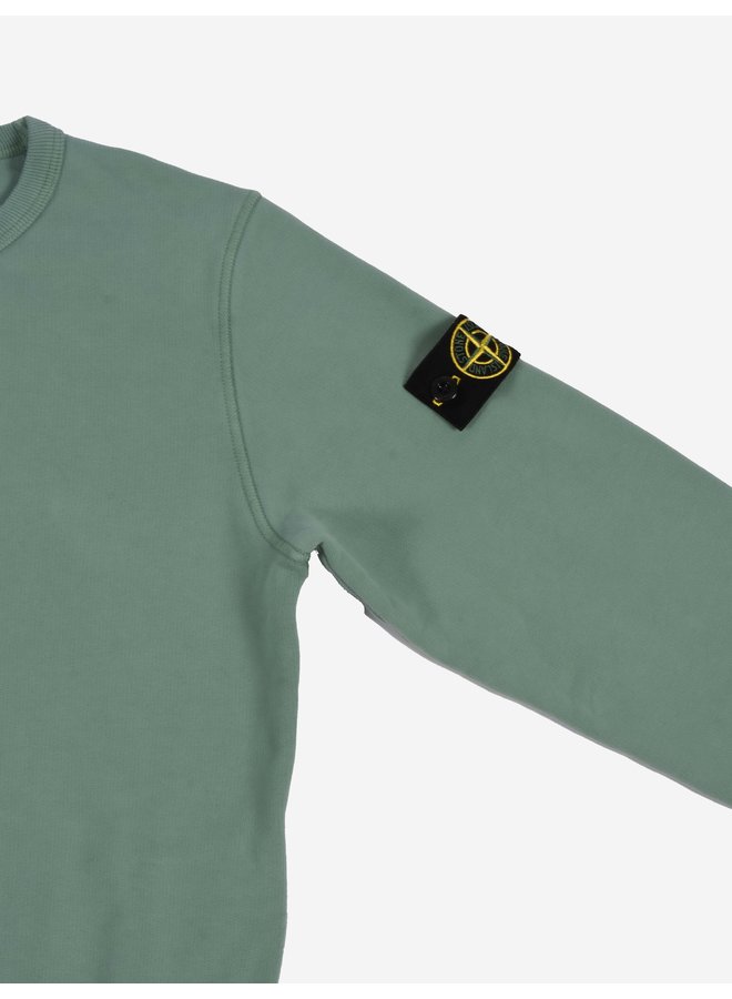 Stone Island FW22 Crewneck Sweatshirt - Sage