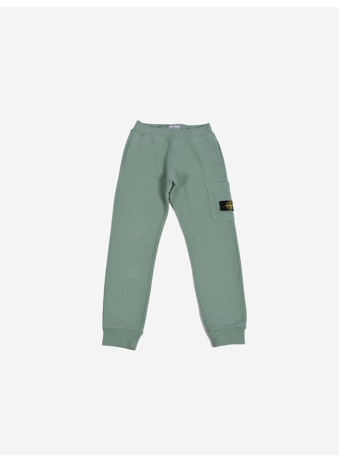 Stone Island FW22 Fleece Pants - Sage