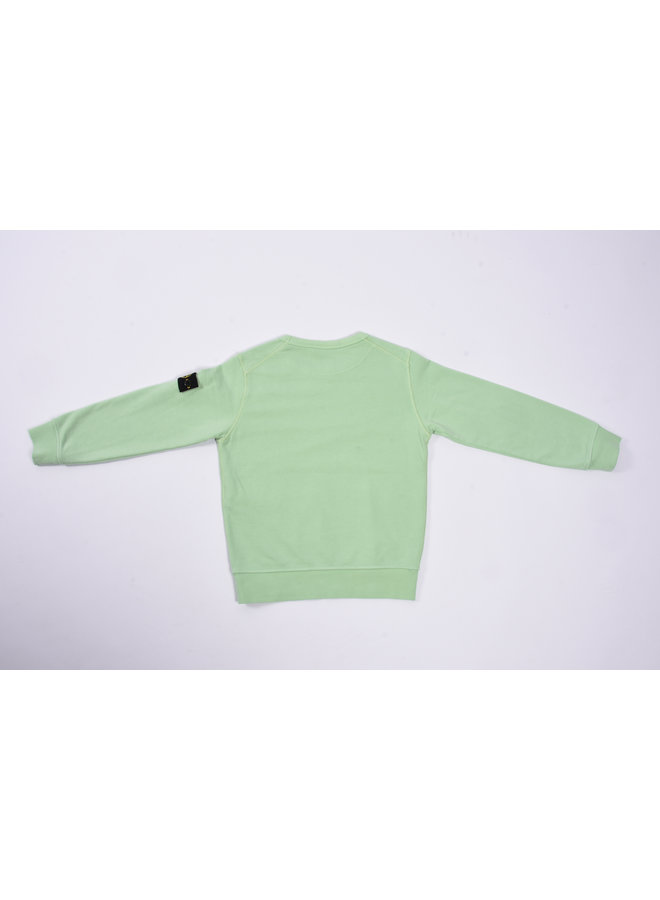 Stone Island SS23 - Felpa Logo-Patch Crewneck Sweatshirt - Light Green