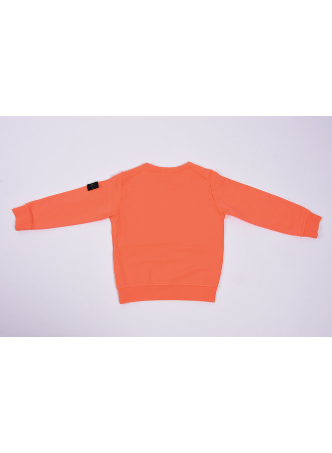 Stone Island SS23 - Felpa Logo-Patch Crewneck Sweatshirt - Coral