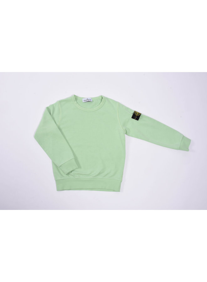 Stone Island SS23 - Felpa Logo-Patch Crewneck Sweatshirt - Light Green