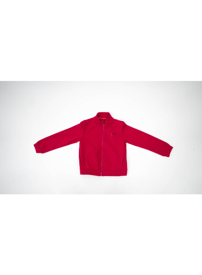 EA7 Kids FW23 - 6RFV13 - Tracksuit - Pink Peacock