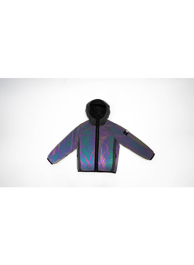 Stone Island FW23 - Winter Jacket Reflective - Musk