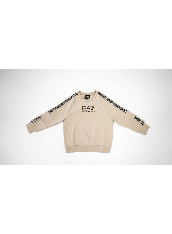 EA7 Kids FW23 - 6RBM62 Sweatshirt - Silver Cloud