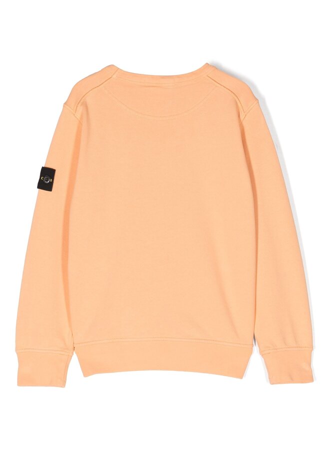 Stone Island SS24 - Felpa Logo-Patch Crewneck Sweater - Orange