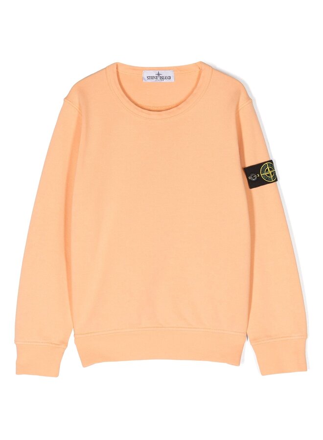 Stone Island SS24 - Felpa Logo-Patch Crewneck Sweater - Orange