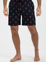 Dray men swimshort