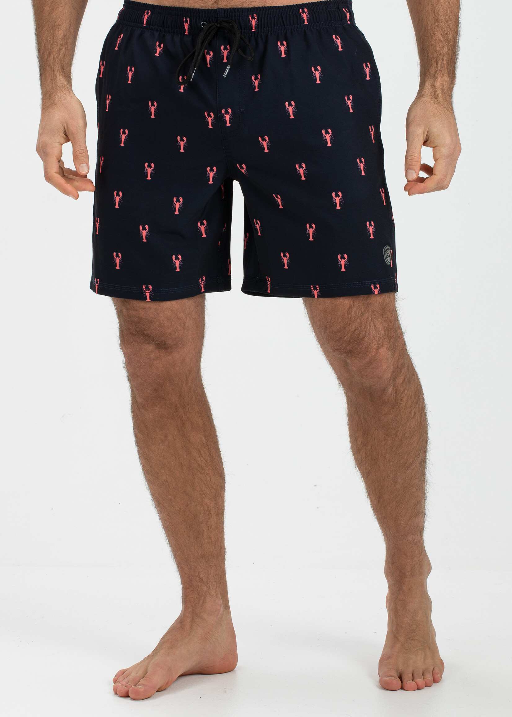 Dray men swimshort