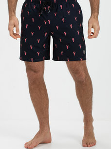 Dray men swimshort