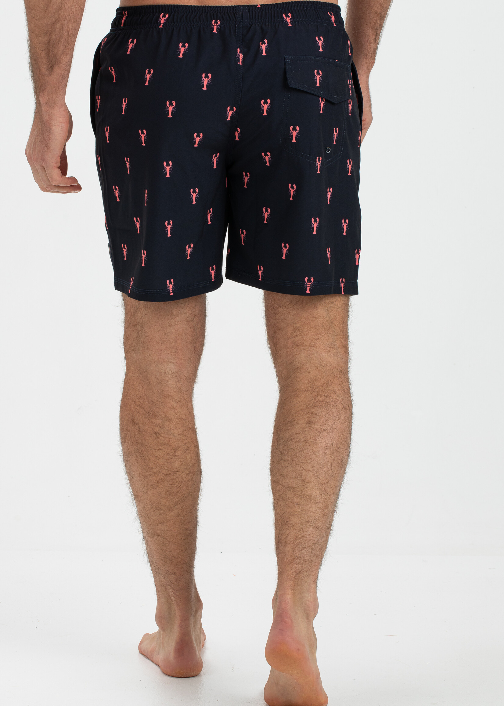 Dray men swimshort