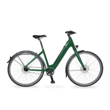 6TY Fazua Ride - Alfine 11,  48CM