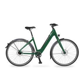 6TY Fazua Ride - Alfine 11,  48CM