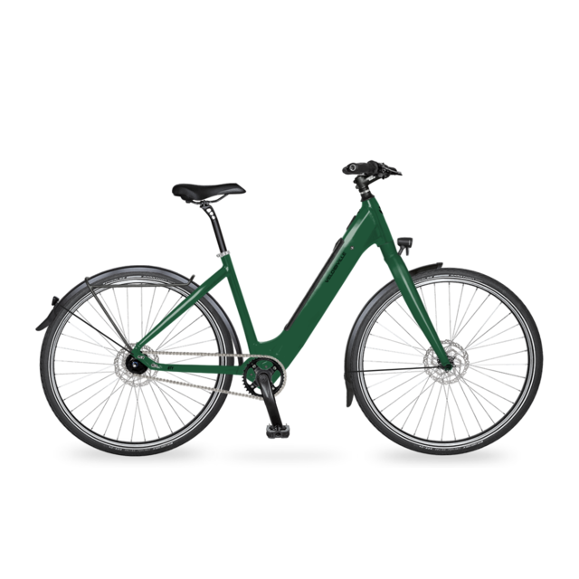 6TY Fazua Ride - Alfine 11,  48CM 6TY Fazua Ride - Alfine 11,  48CM