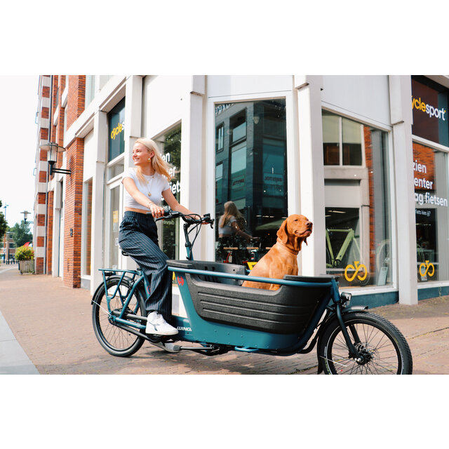 Winora bakfiets F.U.B 2W Winora bakfiets F.U.B 2W