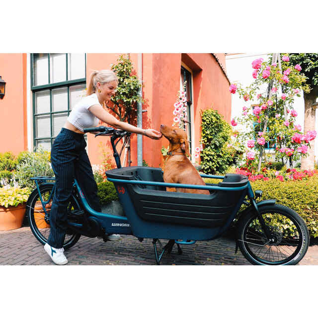 Winora bakfiets F.U.B 2W Winora bakfiets F.U.B 2W