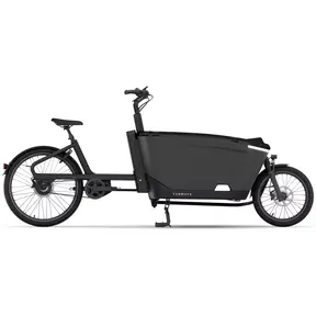 Tenways Cargo One Elektrische Bakfiets