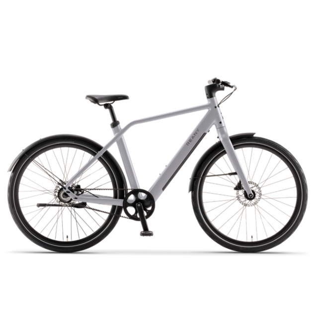 REANY Bike N1 - De lichtste e-bike in de Benelux REANY Bike N1 - De lichtste e-bike in de Benelux