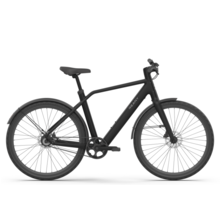 Reany N1 - sportieve e-bike