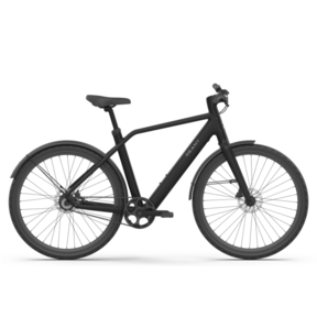 Reany N1 - sportieve e-bike