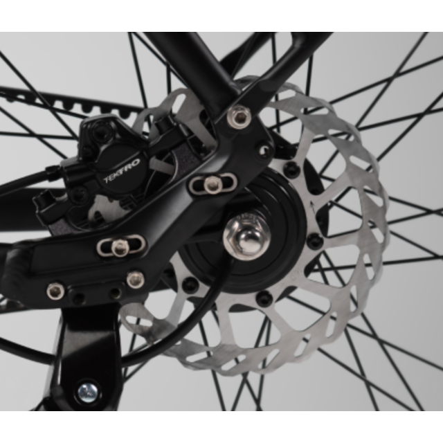 Tenways CGO 800s -  voor moeiteloos woon-werkverkeer.