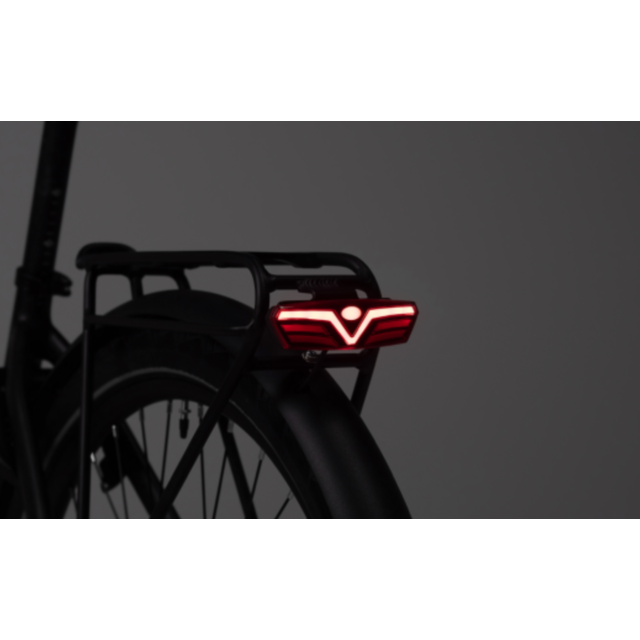 Tenways CGO 800s -  voor moeiteloos woon-werkverkeer.