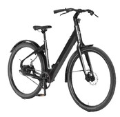 BixBi FAE, mat zwart (375Wh) BixBi FAE, mat zwart (375Wh)