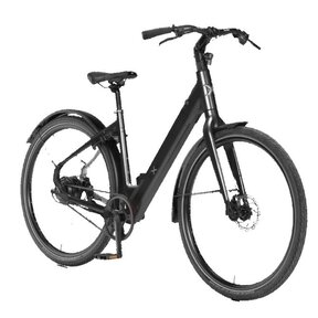 BixBi FAE, mat zwart (375Wh)