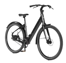 BixBi FAE, mat zwart (504Wh)