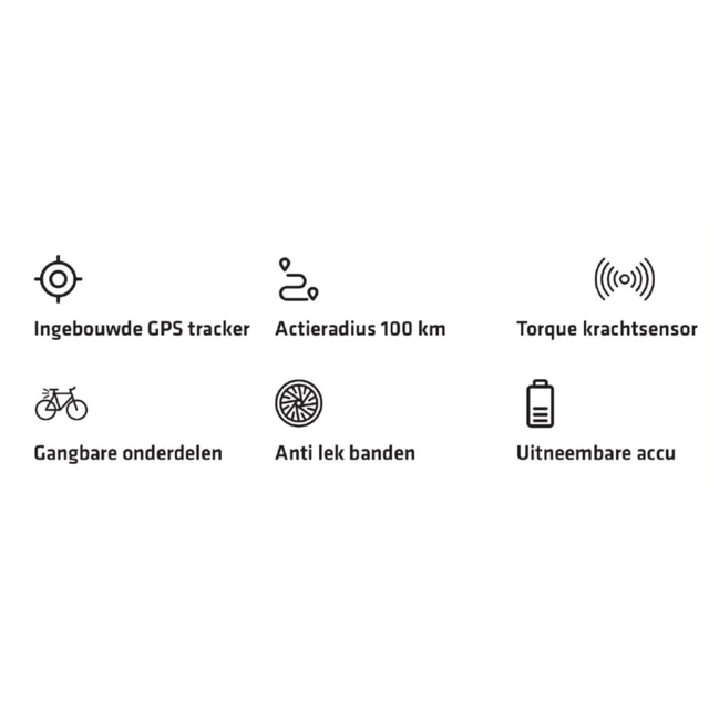 BixBi RAE, grijs (504Wh) BixBi RAE, grijs (504Wh)
