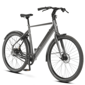 BixBi RAE, grijs (504Wh) BixBi RAE, grijs (504Wh)