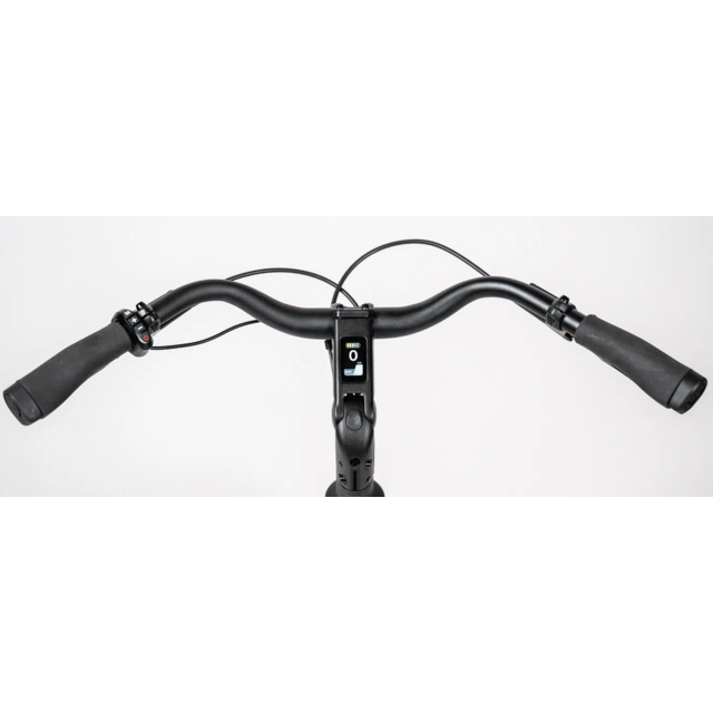 BixBi RAE, mat zwart (375Wh) BixBi RAE, mat zwart (375Wh)